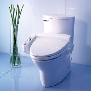 10 reasons why you need a bidet toilet seat